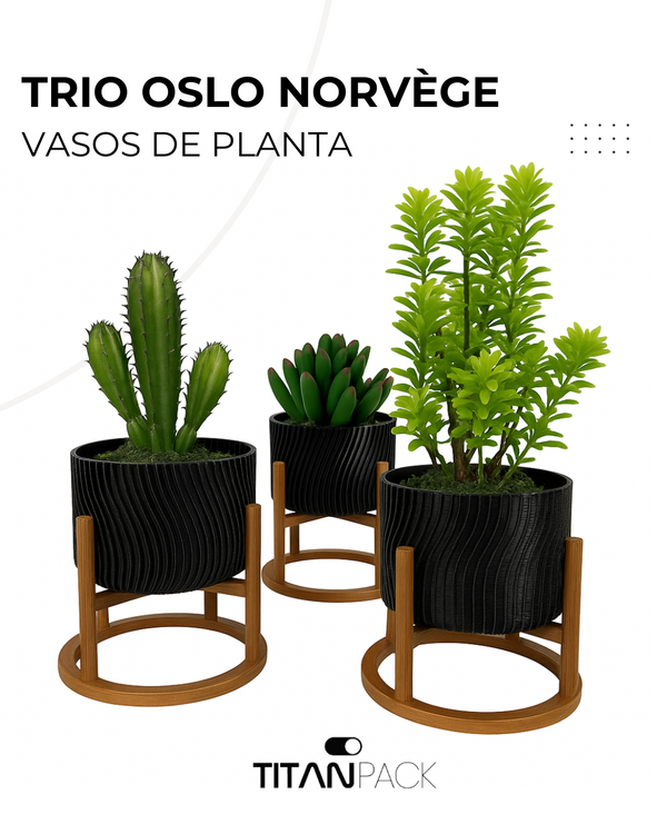 Trio Oslo Norvège
